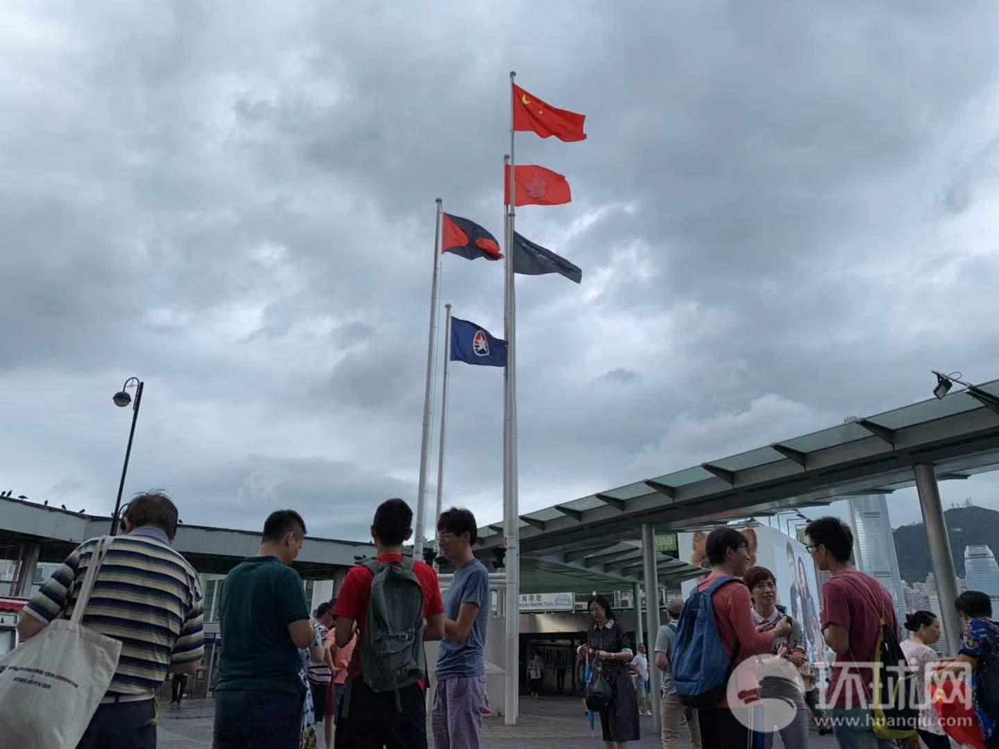 老人花28年种出9层楼高三角梅，是什么让老人坚持28年种花？游戏画面